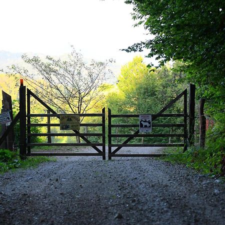 Апартаменты Eko Pony Ranch Ogrizek Подчетртек Экстерьер фото