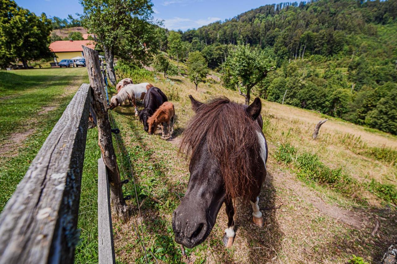 Апартаменты Eko Pony Ranch Ogrizek Подчетртек Экстерьер фото