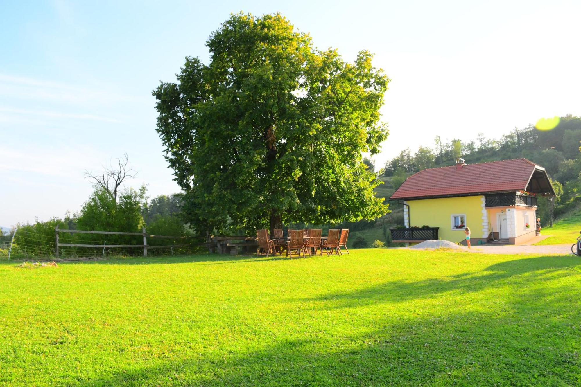 Апартаменты Eko Pony Ranch Ogrizek Подчетртек Экстерьер фото